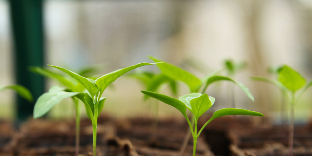 PA�콢��ƽ̨(�й���)�ٷ���վ-PA PlayAce