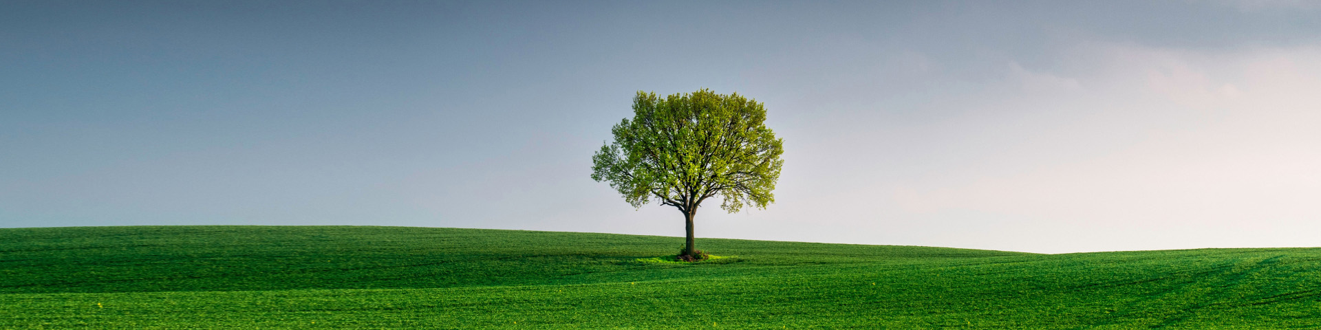 PA�콢��ƽ̨(�й���)�ٷ���վ-PA PlayAce