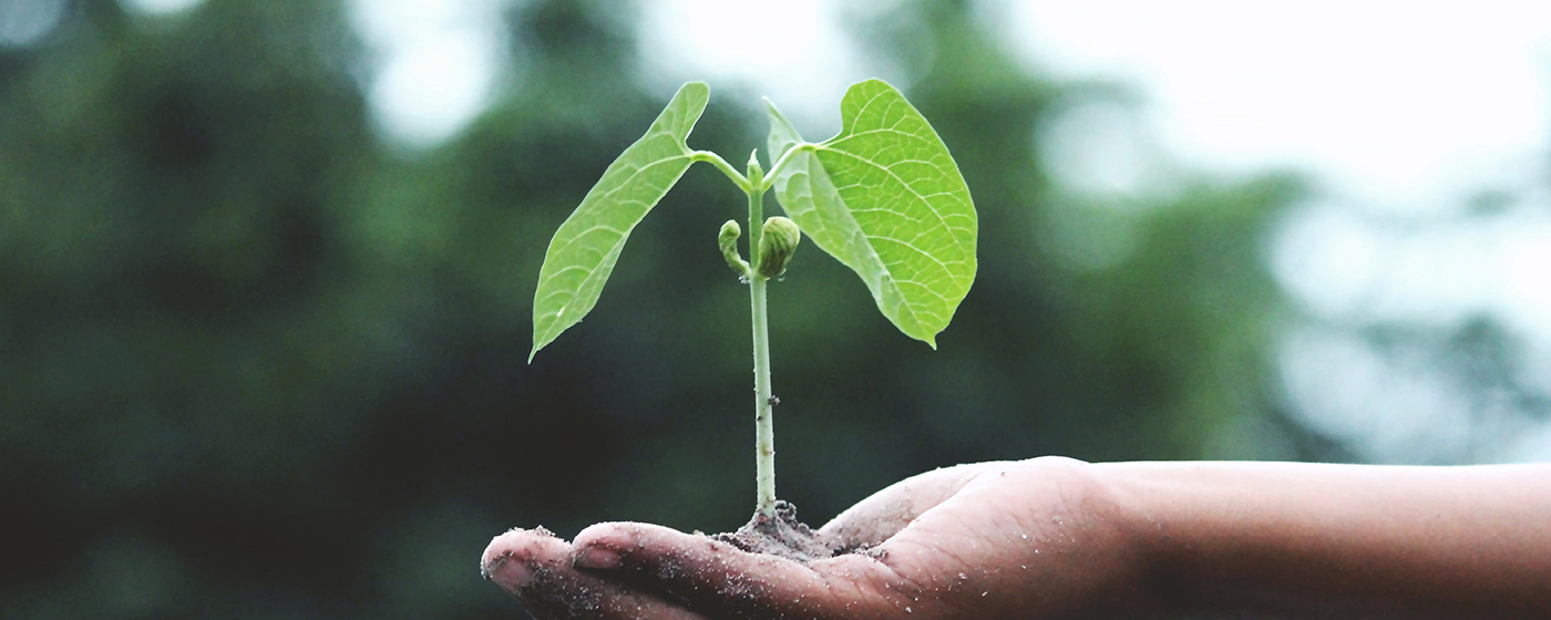 PA�콢��ƽ̨(�й���)�ٷ���վ-PA PlayAce